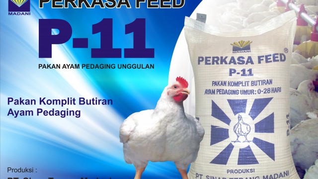 Iklan Pakan P11.