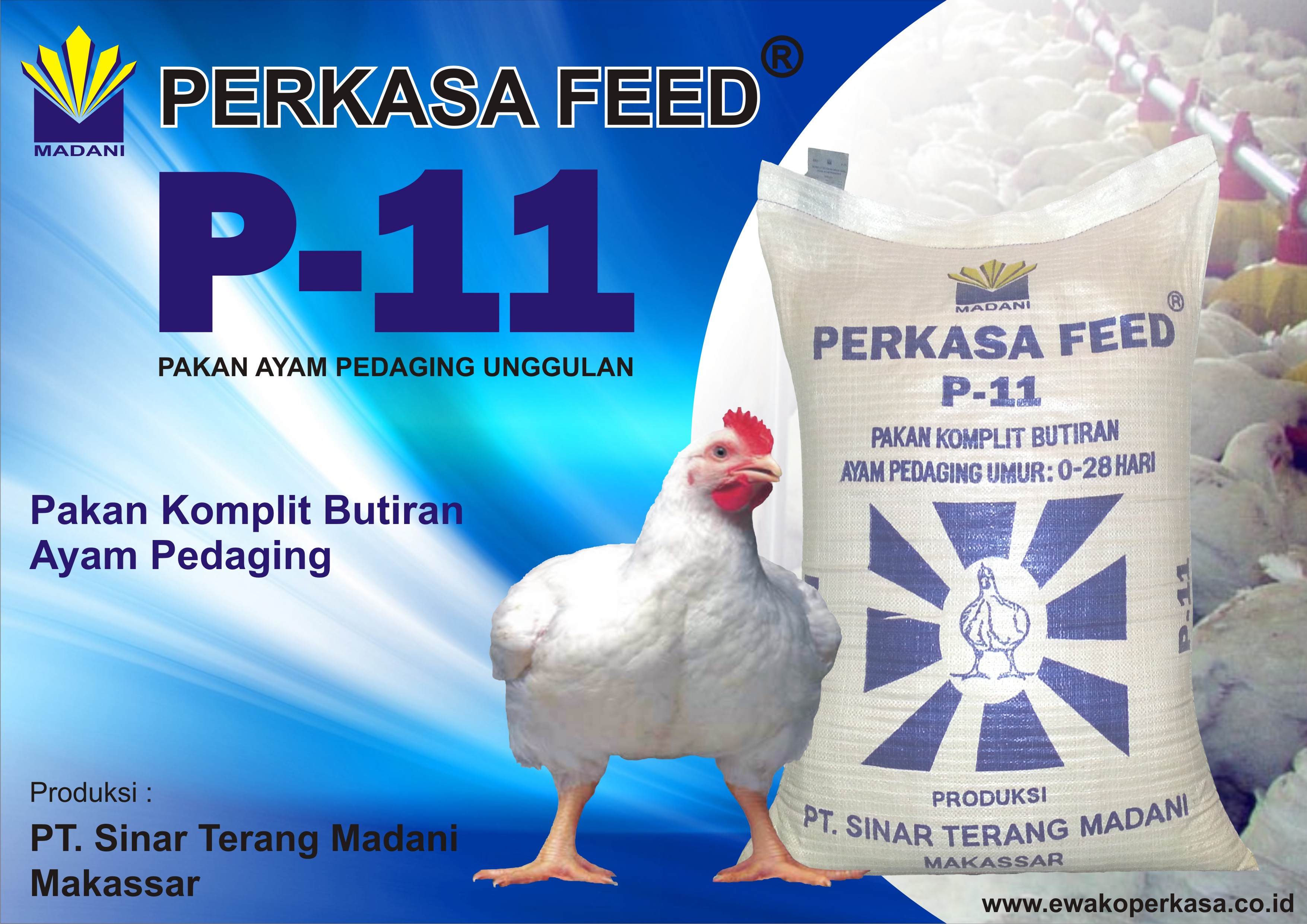 Iklan Pakan P11.